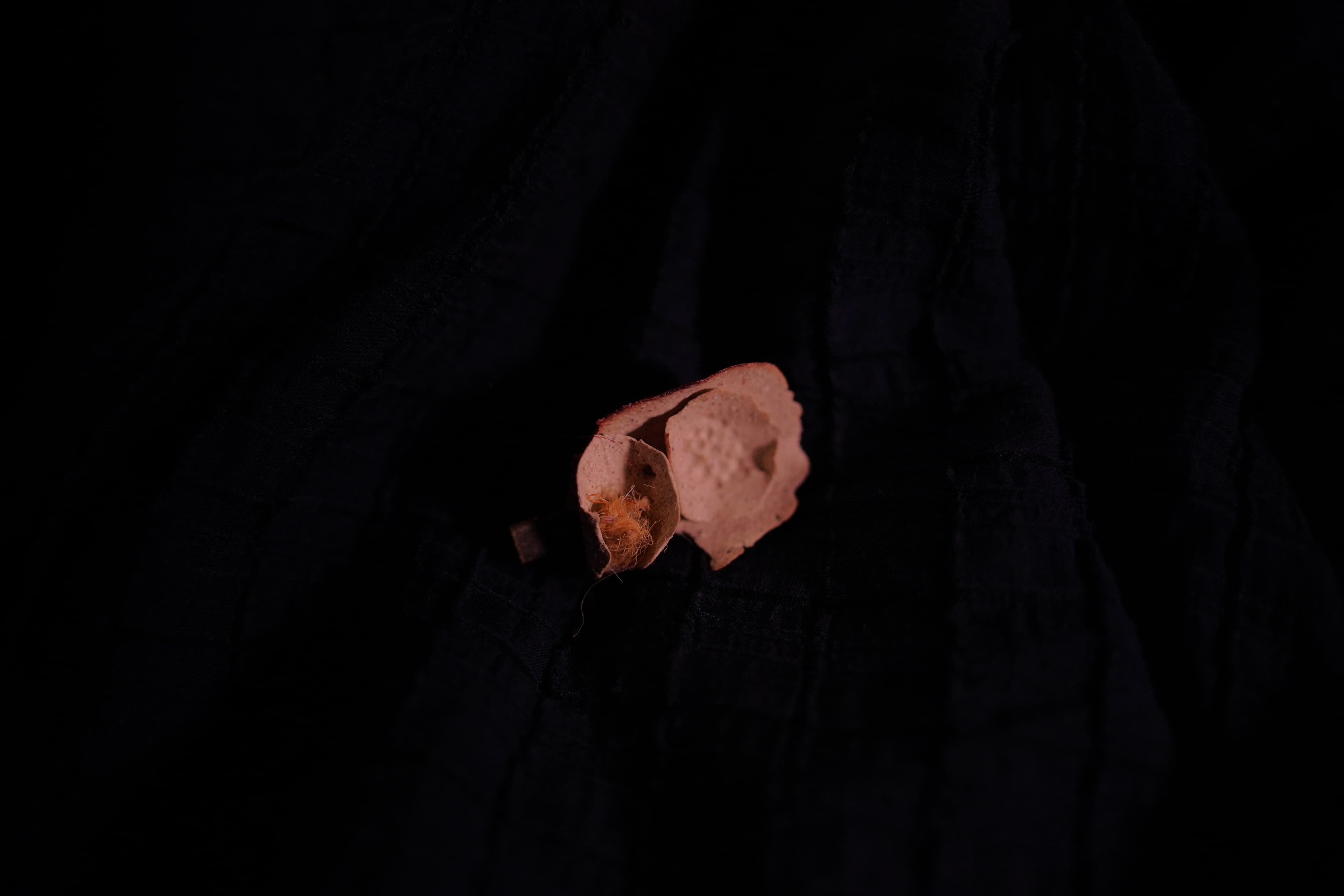 detail02.jpg