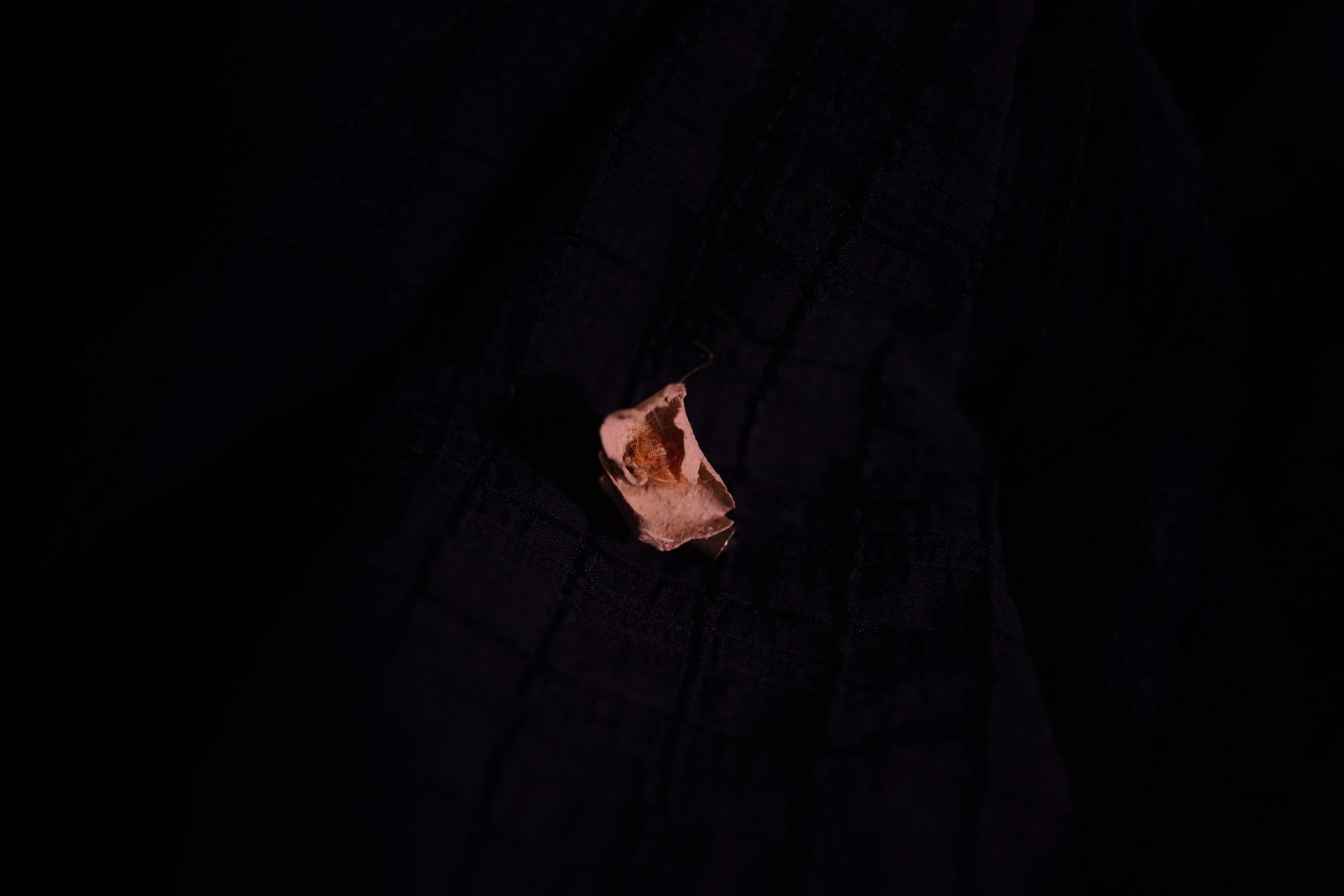 detail03.jpg