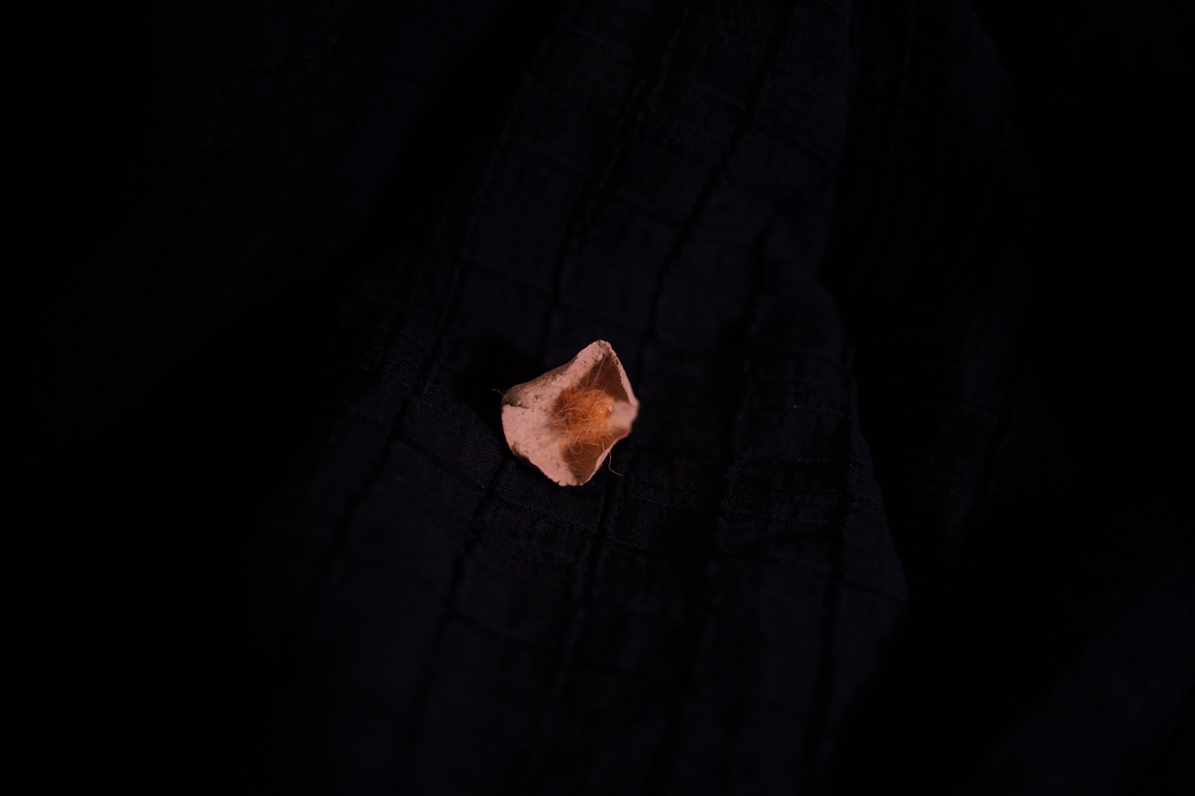 detail04.jpg